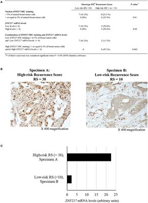 The ZNF217 Biomarker Predicts Low- and High-Risk Oncotype DX® Recurrence Score in ER-Positive Invasive Breast Cancers